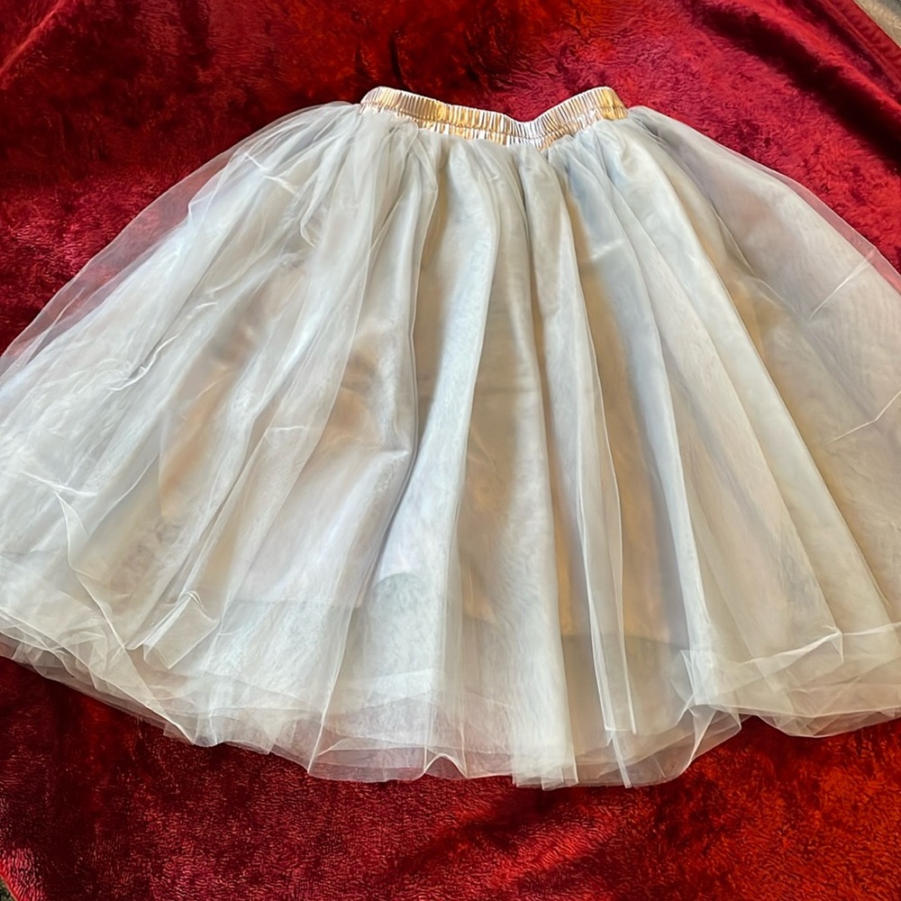 NWOT Delightful Grey Tulle Fluffy Skirt